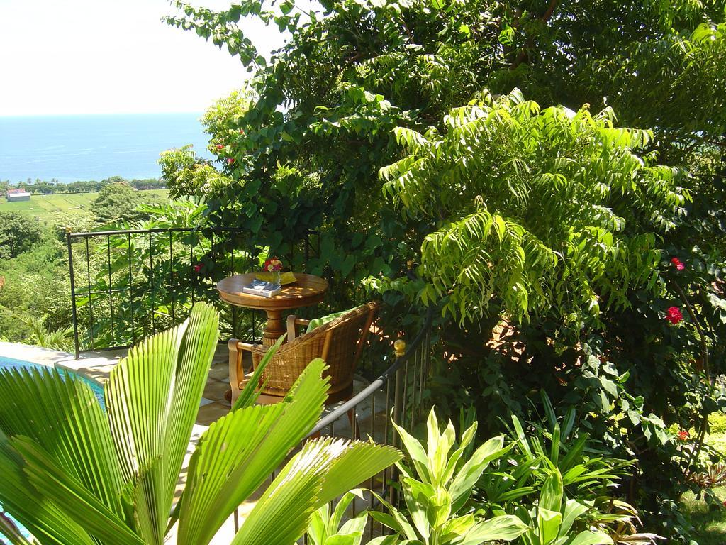विला The Raja Singha Boutique Bali Lovina (Bali)