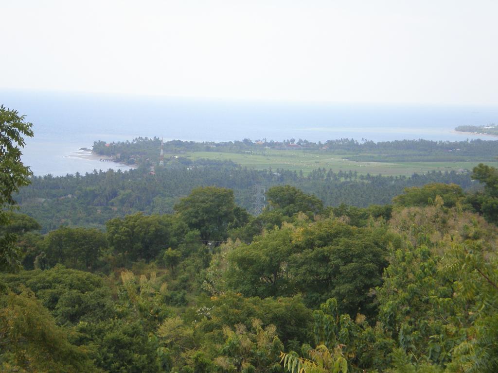 The Raja Singha Boutique Bali विला Lovina (Bali)